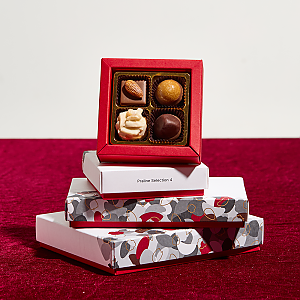 쇼코엘 프랄린 셀렉션 4p